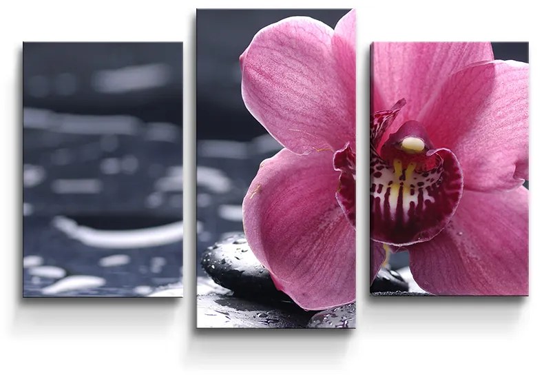 Sablio Obraz - 3-dílný Orchidea - 75x50 cm