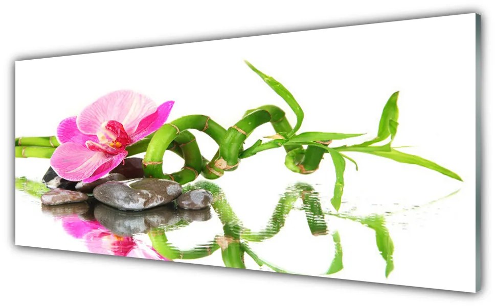 Obraz plexi Bambus kvet kamene umenie 125x50 cm