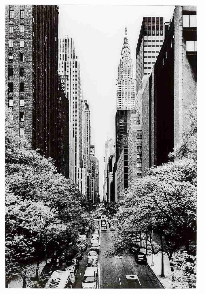 Street Of NY sklenený obraz čiernobiely 120x80 cm