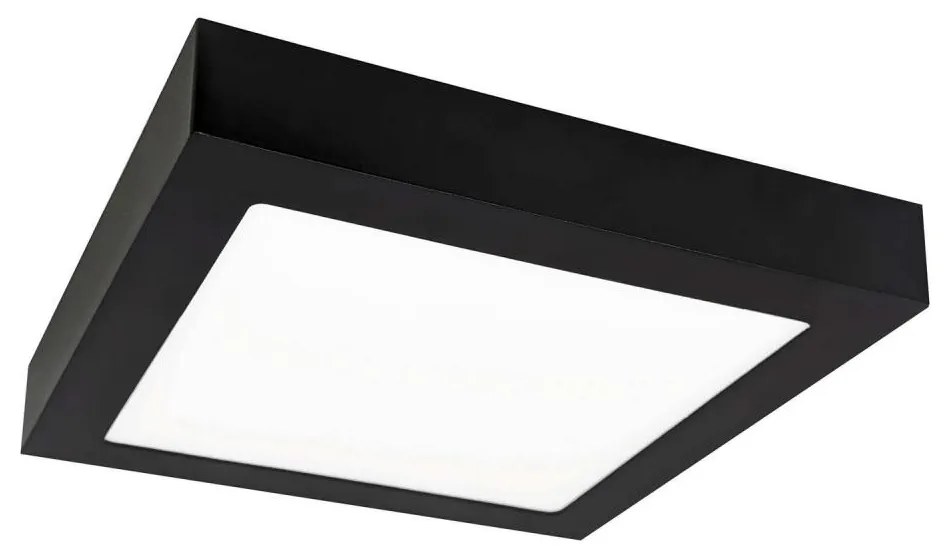 LED Stropné svietidlo FENIX LED/12W/230V 3800K 17 cm