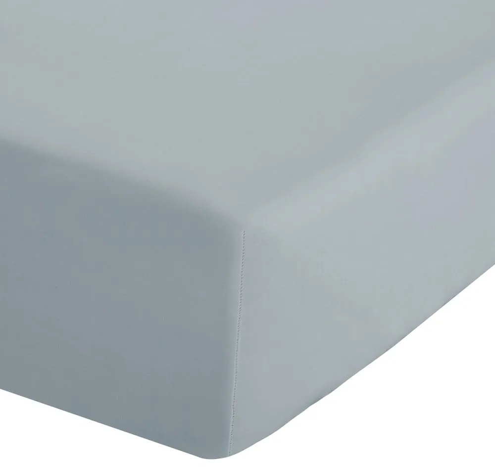 Sivomodrá napínacia perkálová plachta 135x190 cm Easy Iron Percale – Catherine Lansfield