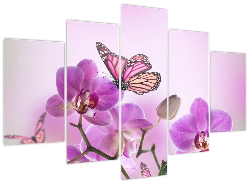 Obraz - Motýľ na kvetoch orchidey, lila (150x105 cm)