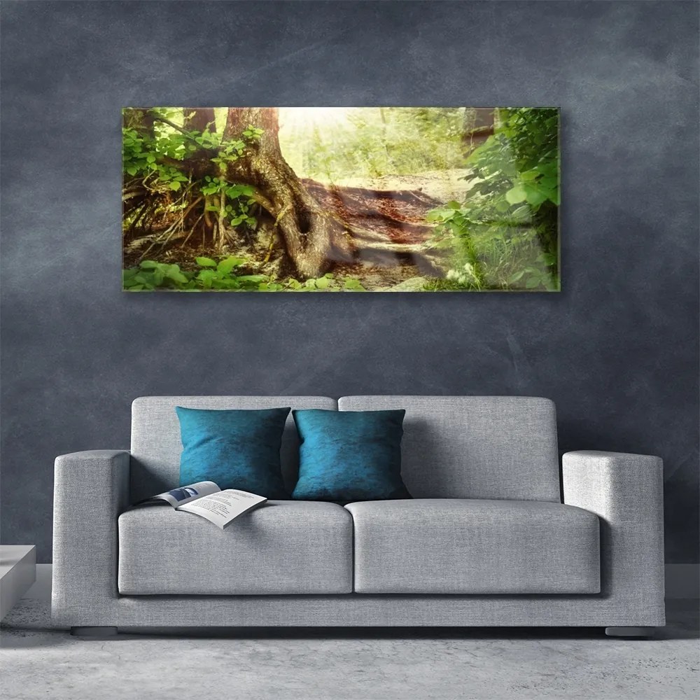 Obraz plexi Strom kmeň príroda les 125x50 cm
