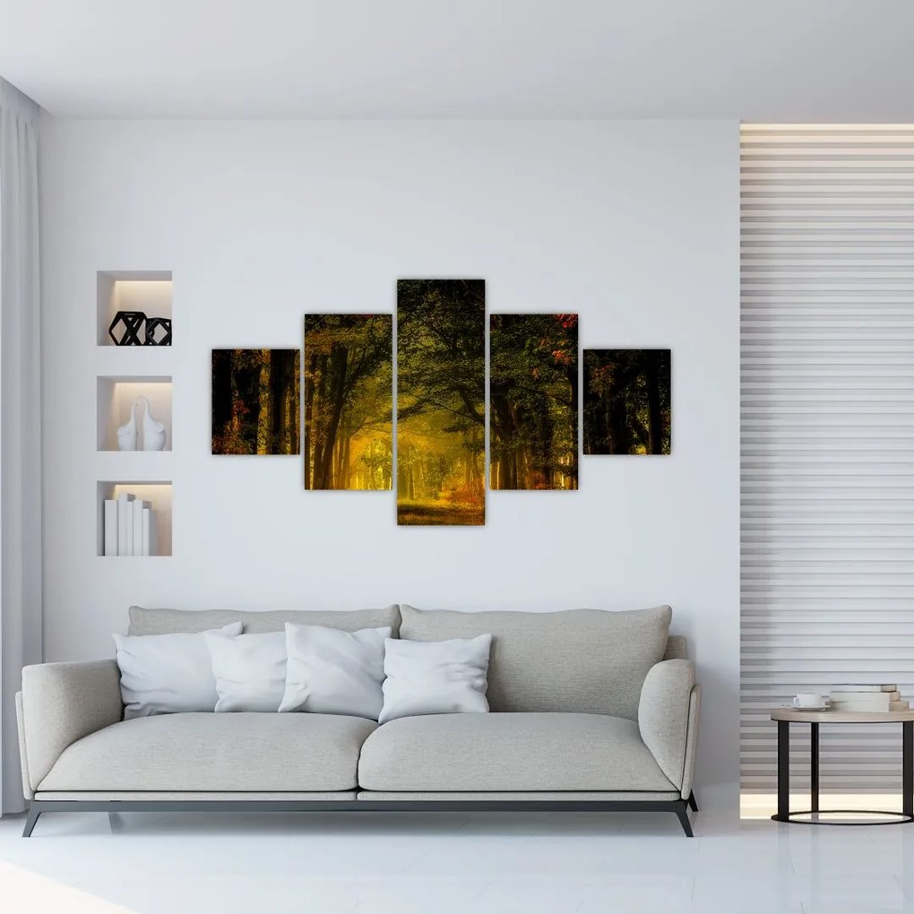Obraz lesu (125x70 cm), 40 ďalších rozmerov