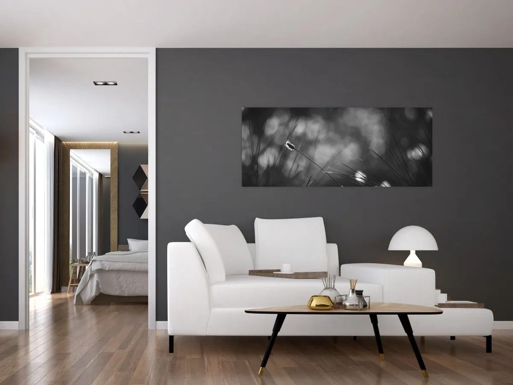 Obraz - Lúčna tráva (120x50 cm)