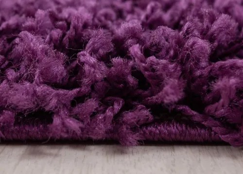 Koberce Breno Kusový koberec DREAM SHAGGY 4000 Lila, fialová,60 x 110 cm