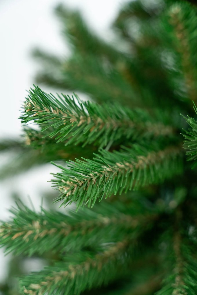 Limpol Smrek Natura 2,40 m