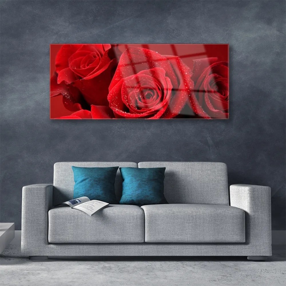 Obraz na akrylátovom skle Ruže kvety 125x50 cm