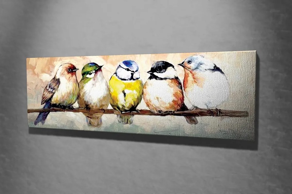 Obraz Vtáky 30x80 cm