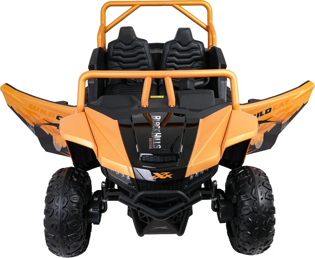 Ramiz Buggy Arctic Cat WILDCAT XX zlaté