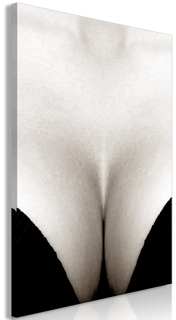 Artgeist Obraz - Cleavage (1 Part) Vertical Veľkosť: 80x120, Verzia: Premium Print