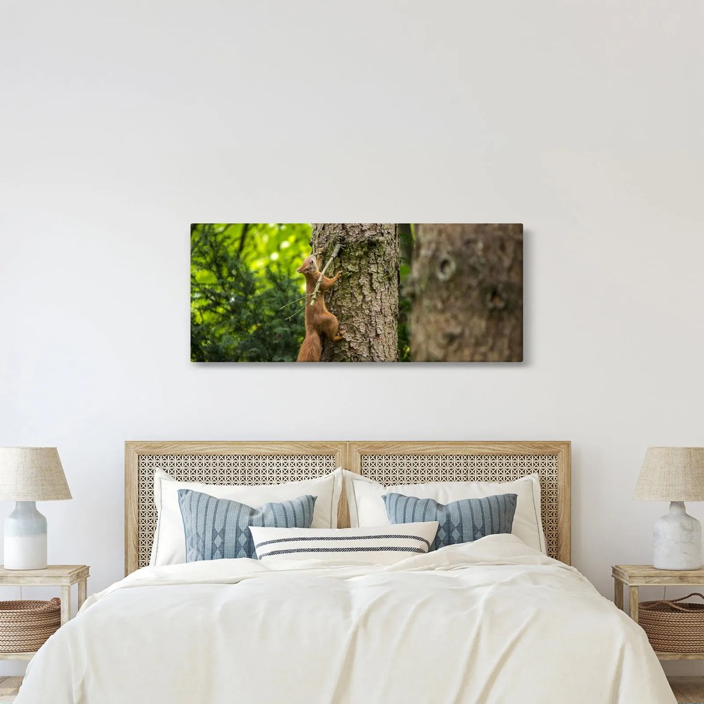 Obraz - Veverička (120x50 cm)