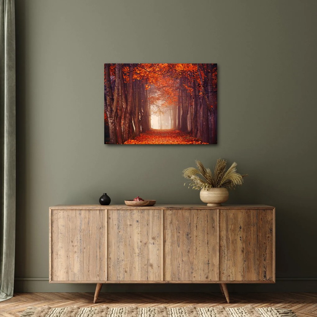 Obraz - Jesenné les (70x50 cm)