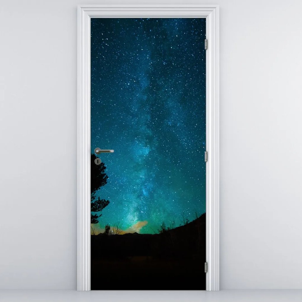 Fototapeta na dvere - Nočná obloha s hviezdami (95x205cm)