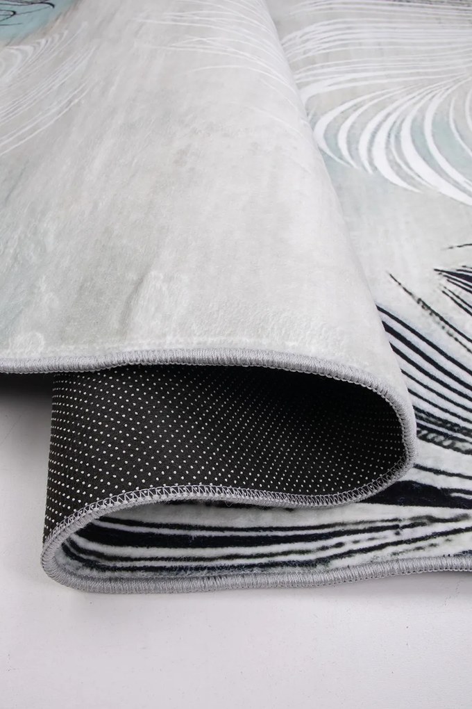 Koberec Canes KLXD220318 # rozmery koberec: 160x230 cm
