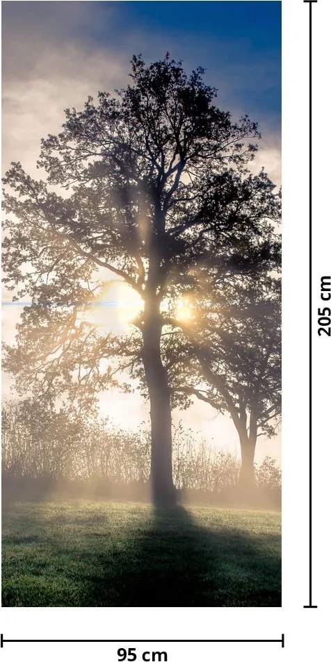 Fototapeta na dvere - Strom v hmle (95x205cm)