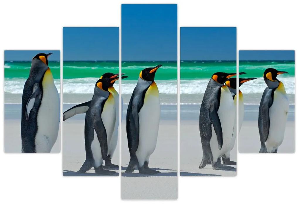 Obraz - Skupina kráľovských Tučniakov (150x105 cm)