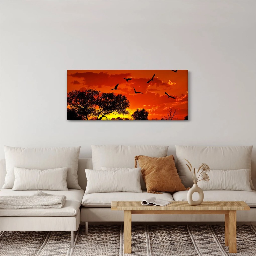 Obraz vtákov pri západe slnka (120x50 cm)