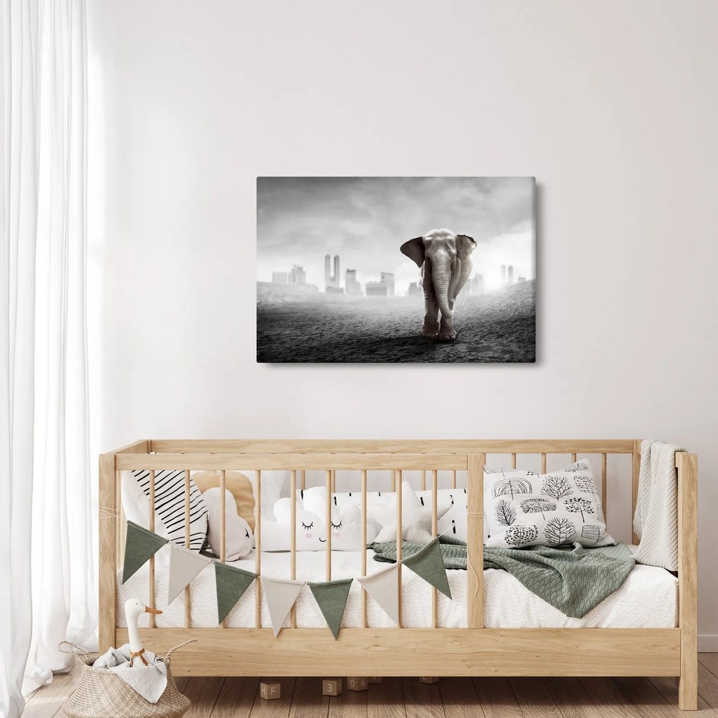 Obraz - Sloník vo veľkomeste, čiernobiely variant (90x60 cm)