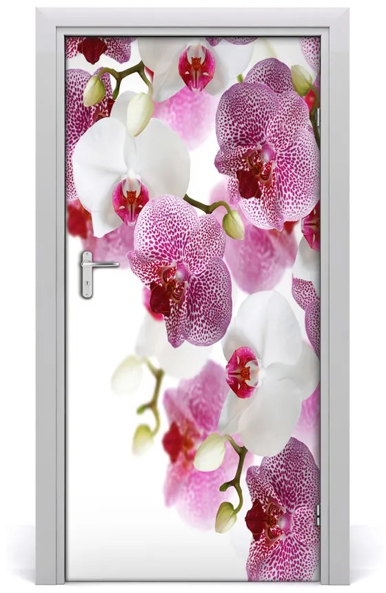 Fototapeta na dvere orchidea 85x205 cm