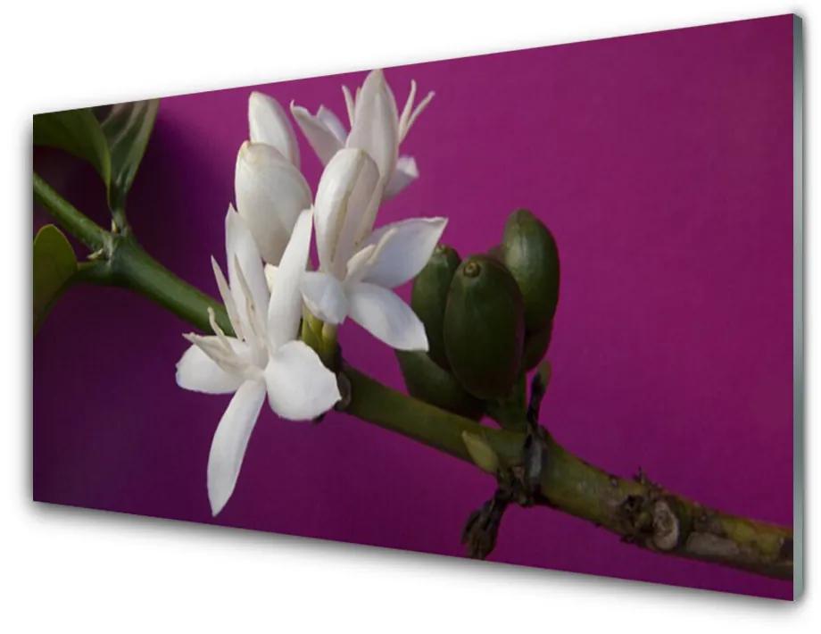 Obraz plexi Kvety úhonky príroda 125x50 cm