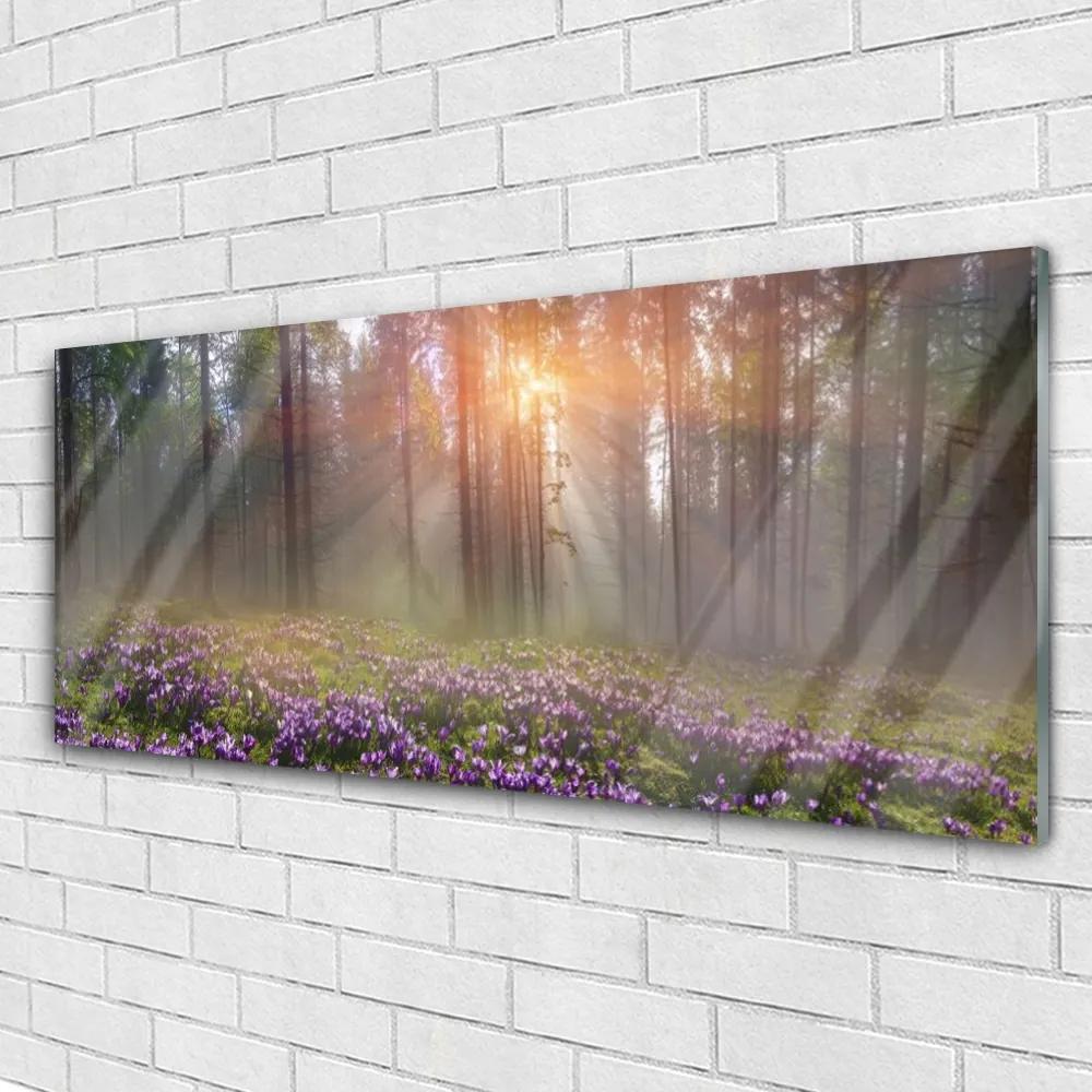 Obraz na akrylátovom skle Les kvety rastlina príroda 125x50 cm