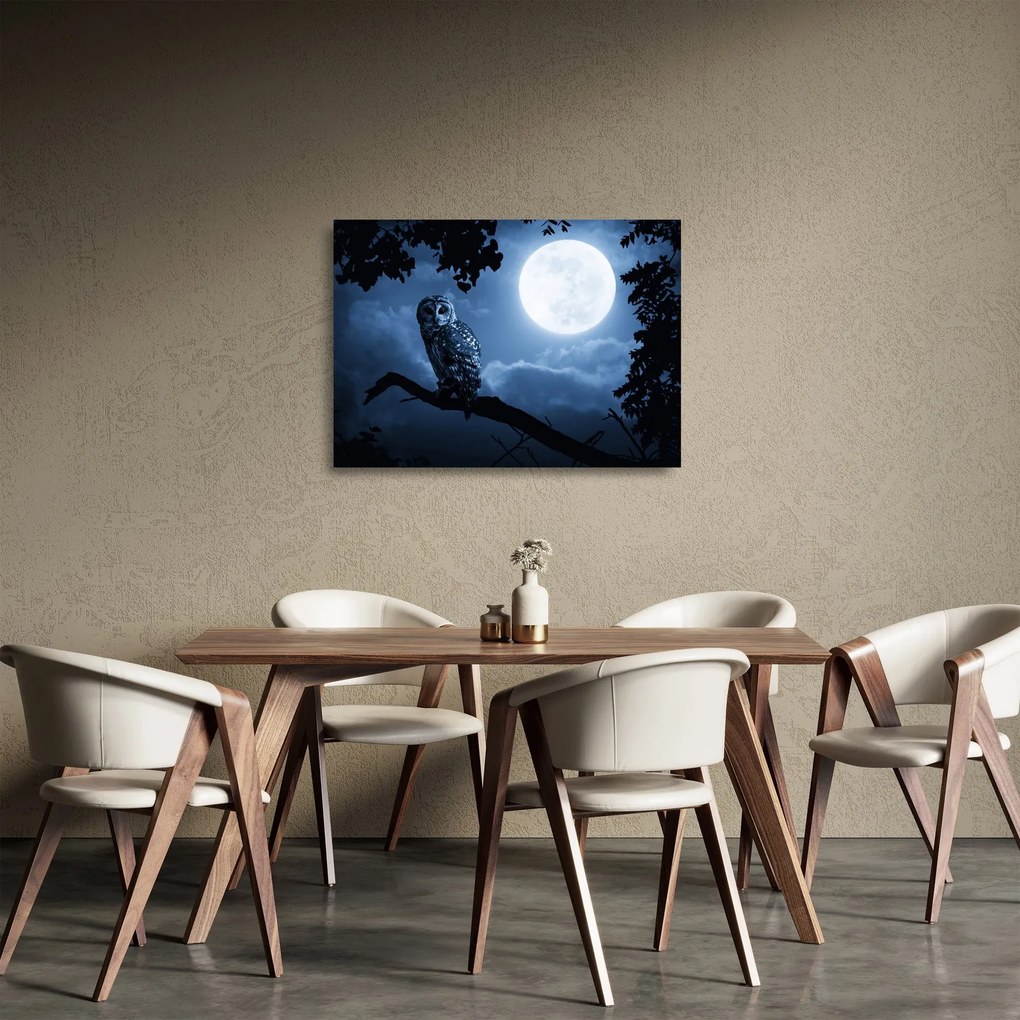 Sklenený obraz - Nočná sova (70x50 cm)