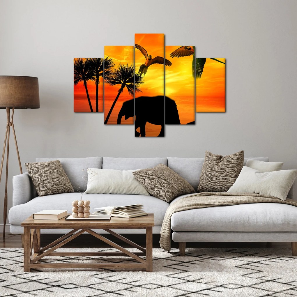 Obraz - papagáje a slony (150x105 cm)