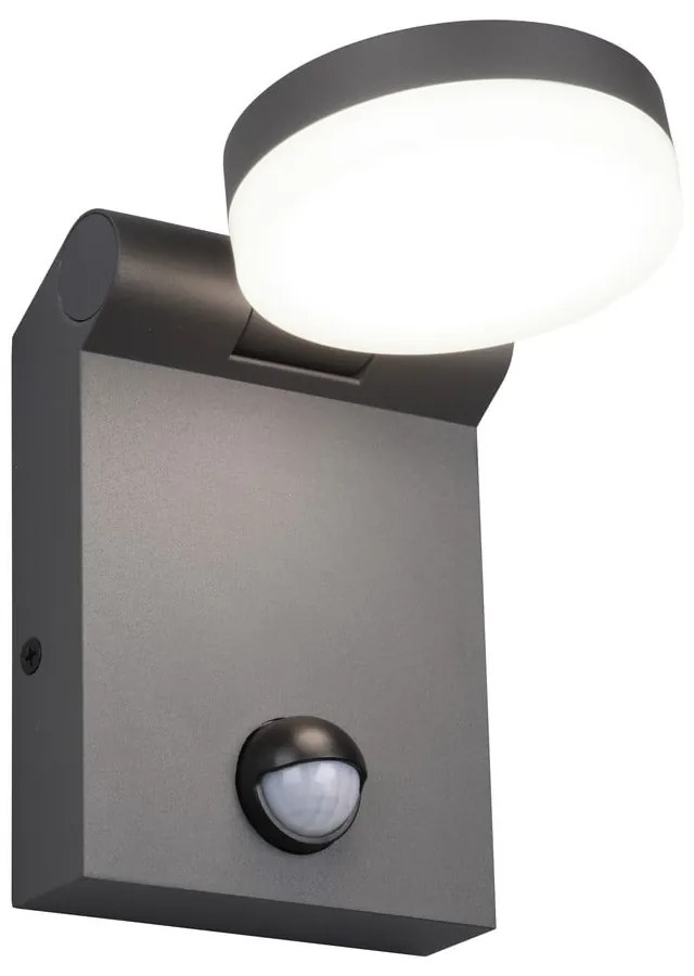 Vonkajšie svietidlo so senzorom pohybu (výška 19 cm) Adour – Trio