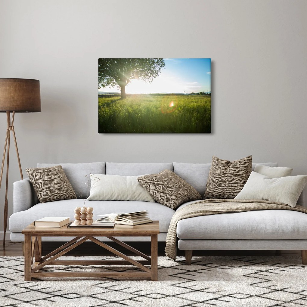 Obraz stromu v poli (90x60 cm)