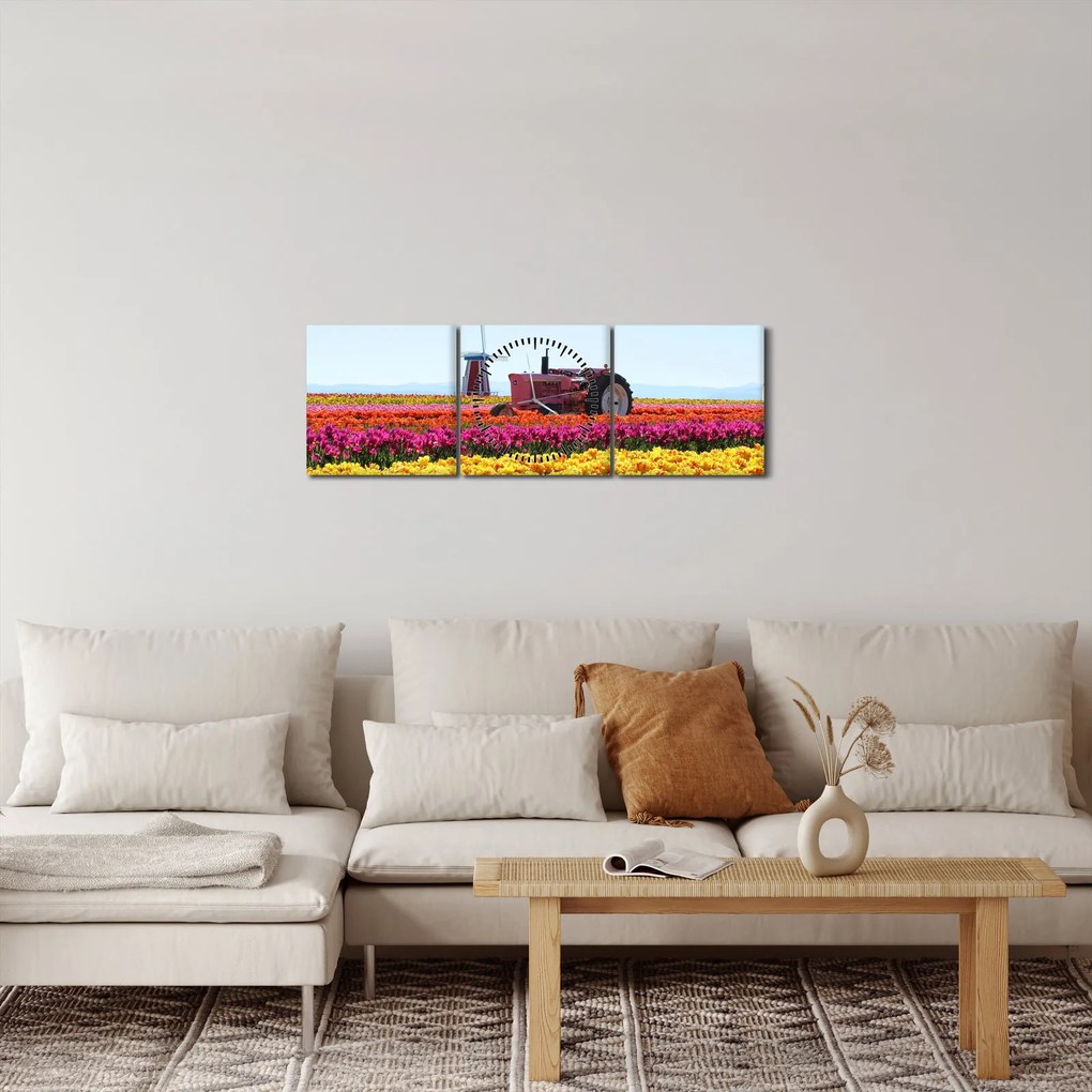 Obraz tulipánové farmy (s hodinami) (90x30 cm)