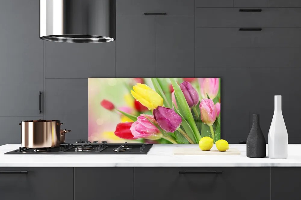 Nástenný panel  Tulipány kvety rastlina 100x50 cm