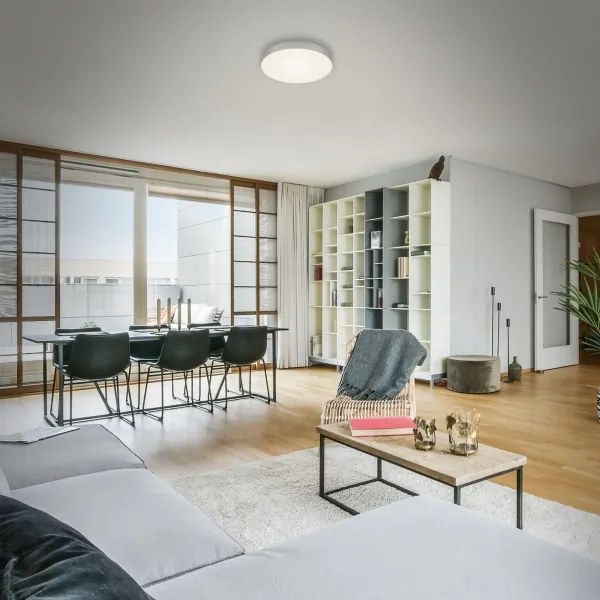 Briloner 7065-014 - LED Stropné svietidlo FLAME LED/16W/230V strieborná