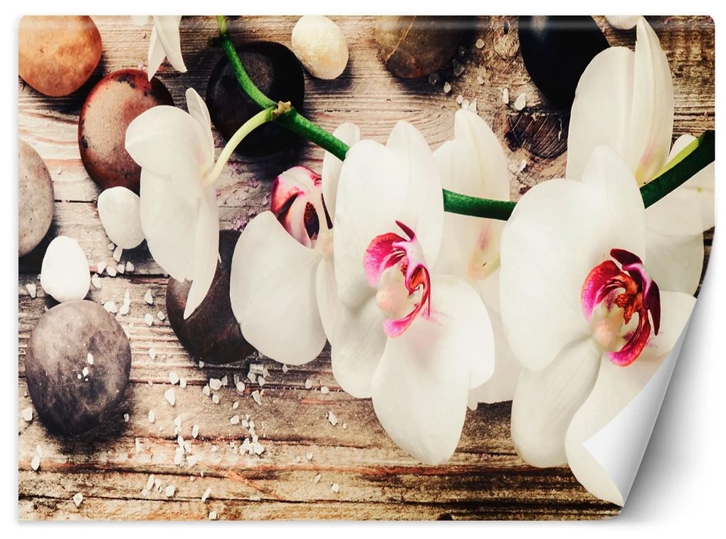 Gario Fototapeta Farebné zenové orchidey Materiál: Vliesová, Rozmery: 100 x 70 cm