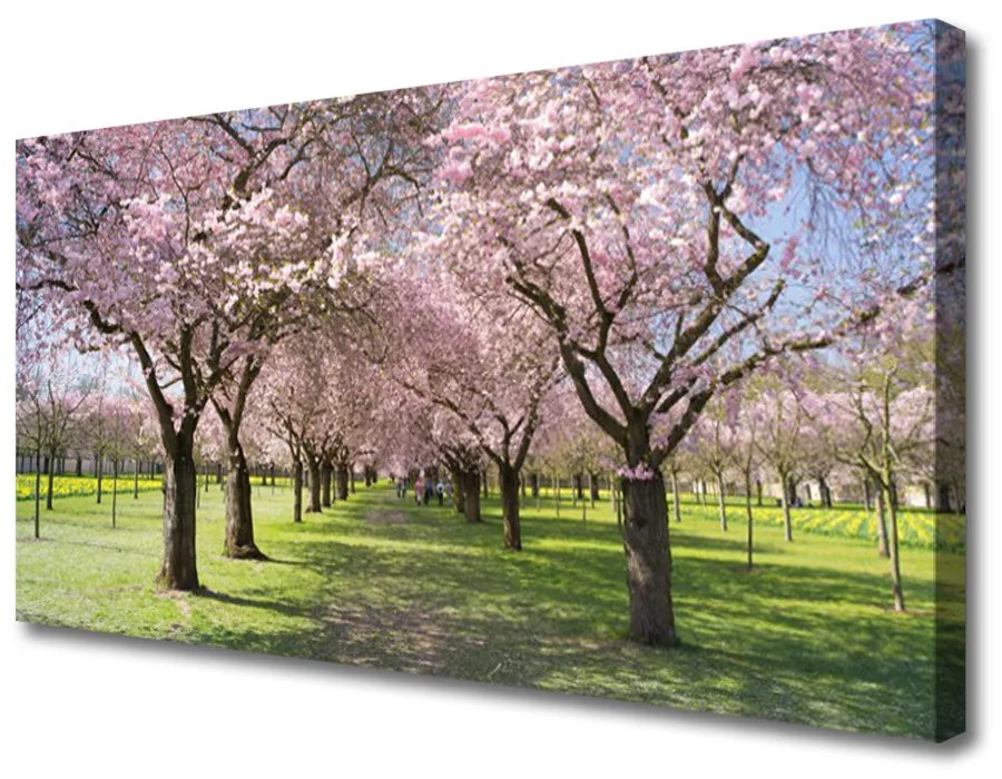 Obraz na plátne Chodník stromy príroda 100x50 cm