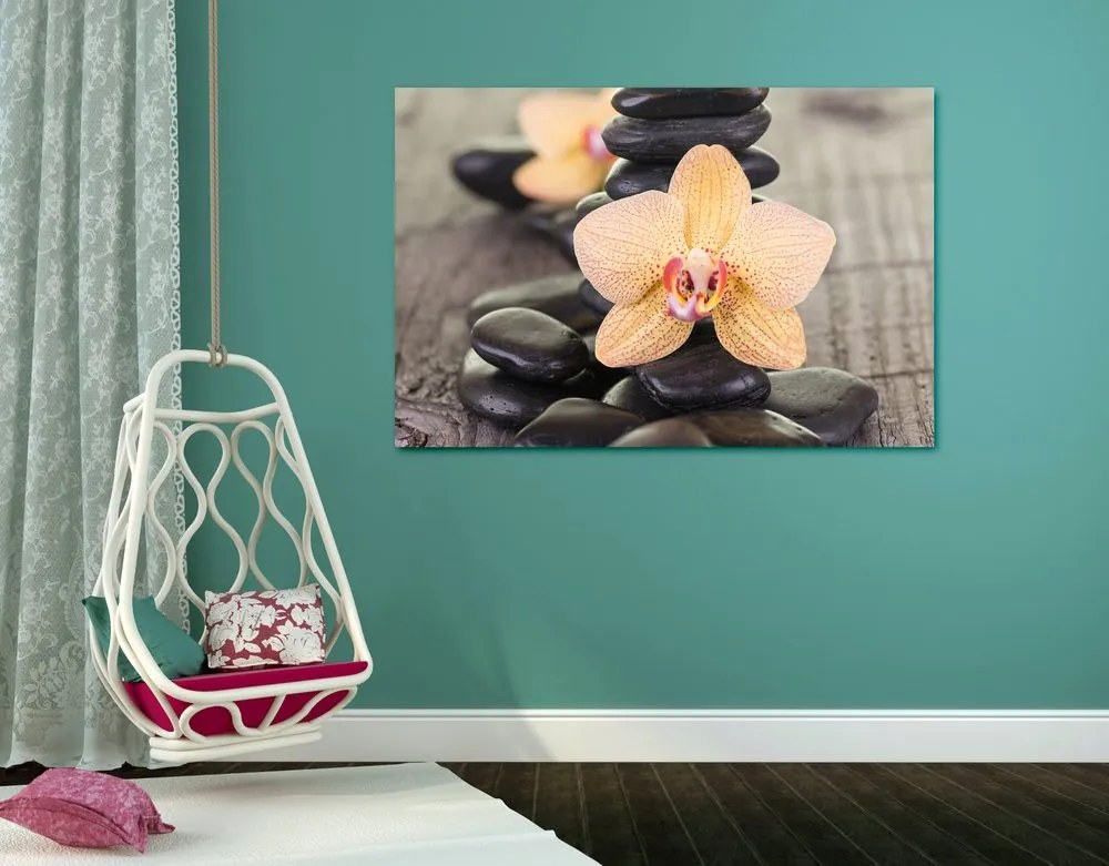 Obraz žltá orchidea a Zen kamene Varianta: 120x80