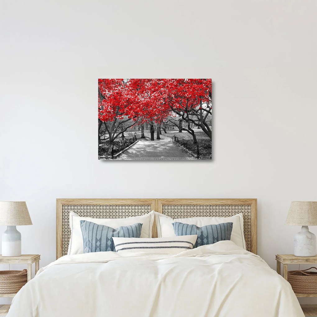Sklenený obraz - Červené stromy, Central Park, New York (70x50 cm)