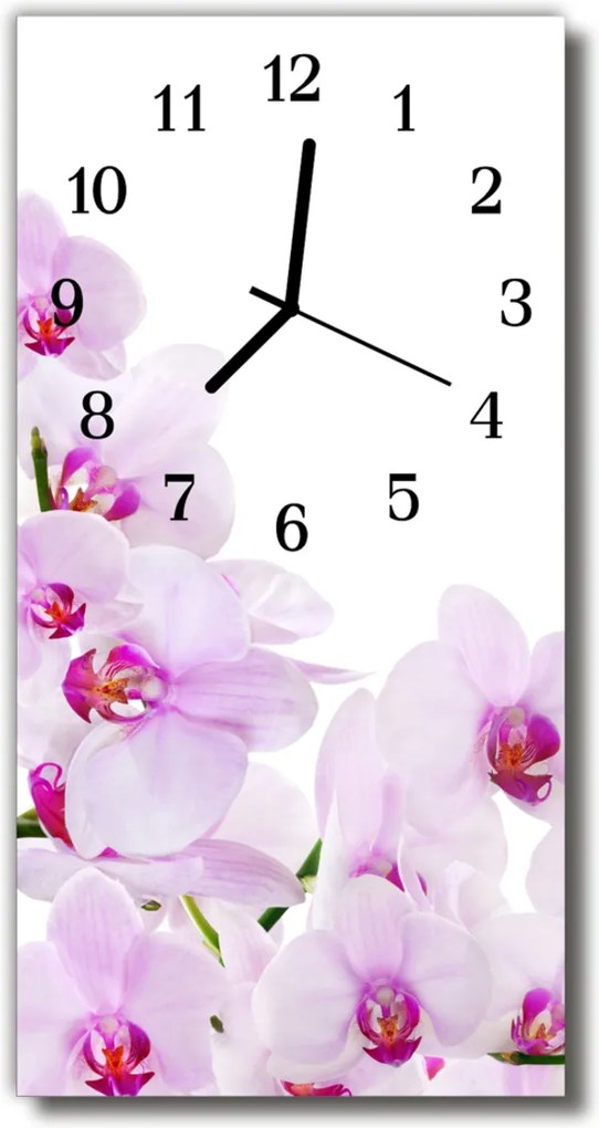 Sklenené hodiny vertikálne  Kvety Fialové orchidey