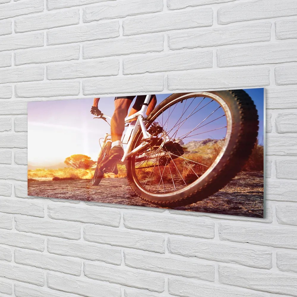 Obraz plexi Bicykel horskej ceste západ 120x60 cm