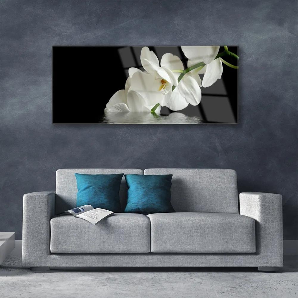Obraz plexi Orchidea vo vode kvety 125x50 cm