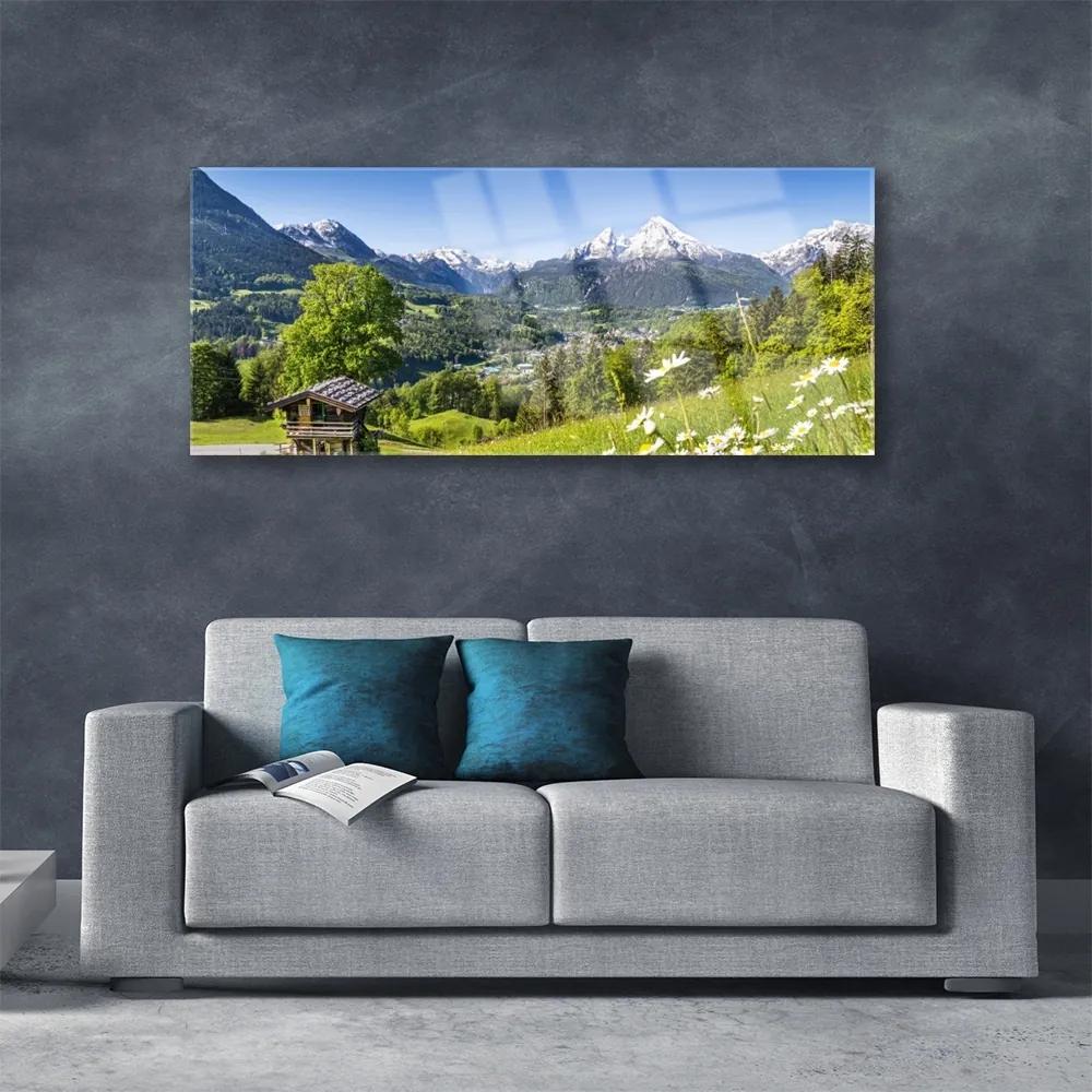 Obraz na akrylátovom skle Hora pole príroda 125x50 cm