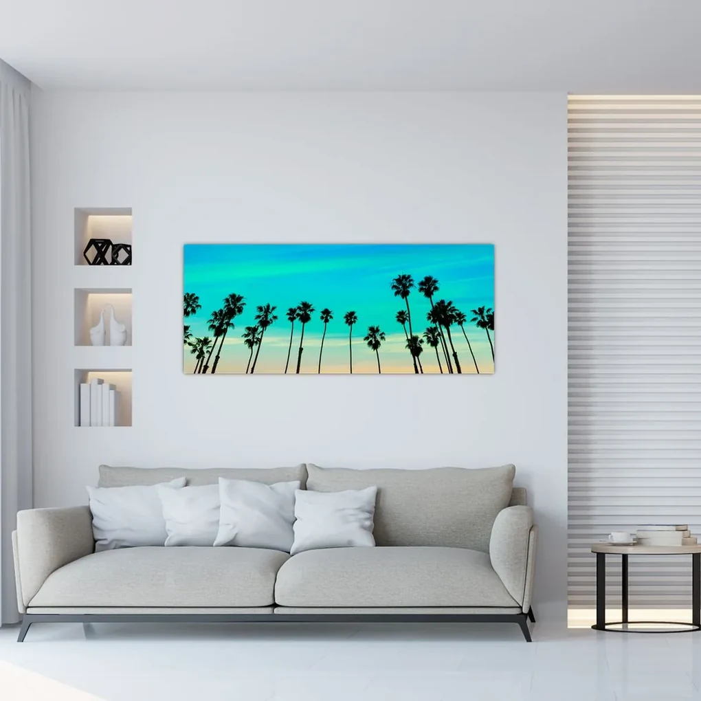 Obraz - Kalifornia (120x50 cm)