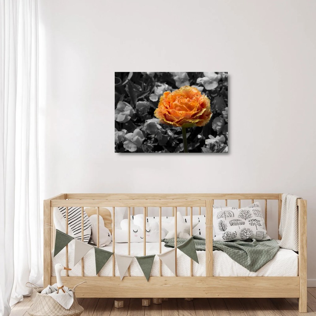 Sklenený obraz kvetu (70x50 cm)