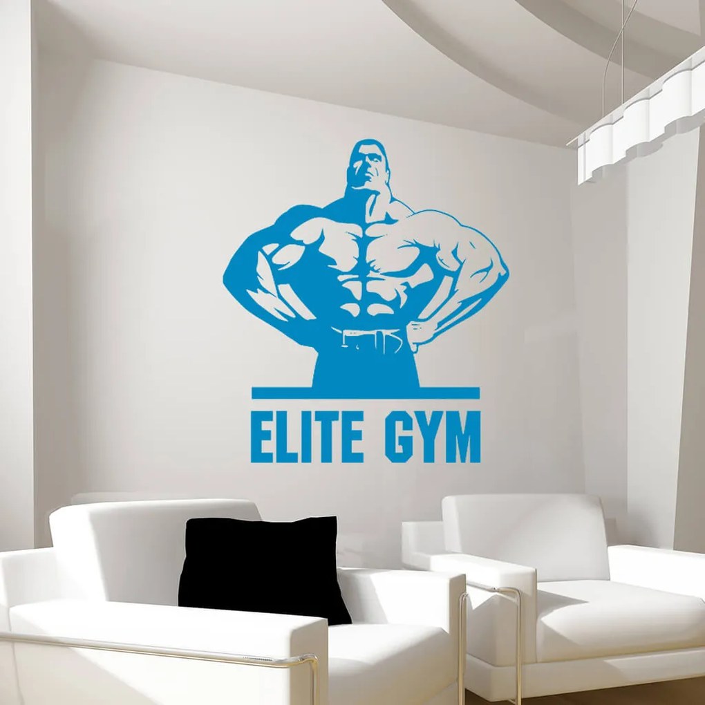 Veselá Stena Samolepka na stenu na stenu Elite Gym Farba: černá