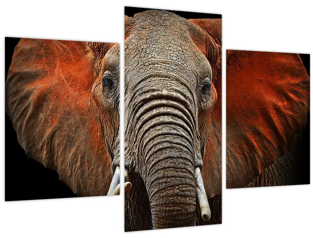 Obraz - Slony z Tsavo (90x60 cm)