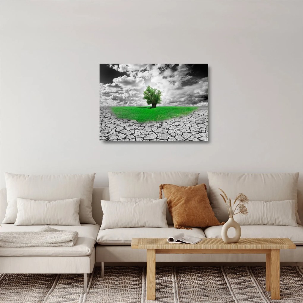 Sklenený obraz - Kus prírody v meste (70x50 cm)