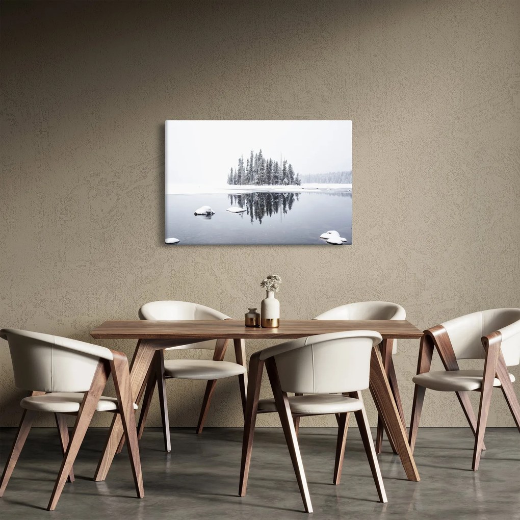 Obraz- Bolo bielo (90x60 cm)