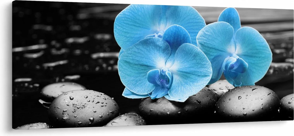 Obraz - Modrá orchidea (120x50 cm)