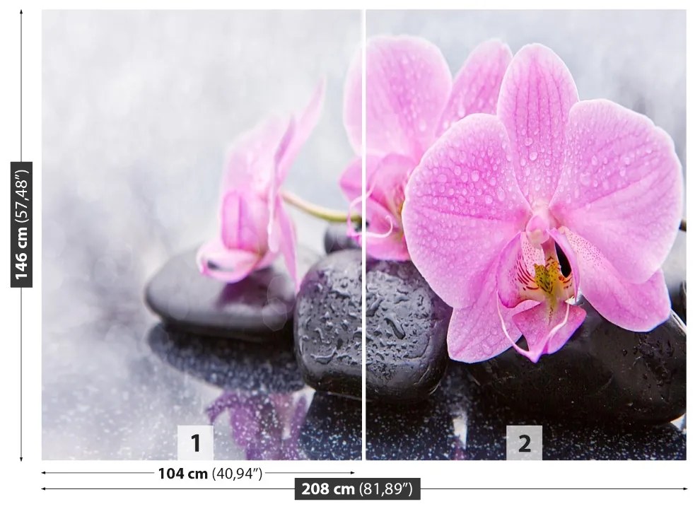 Fototapeta Vliesová Orchidea kamene 104x70 cm