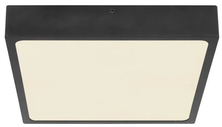 ECHO 12369-22